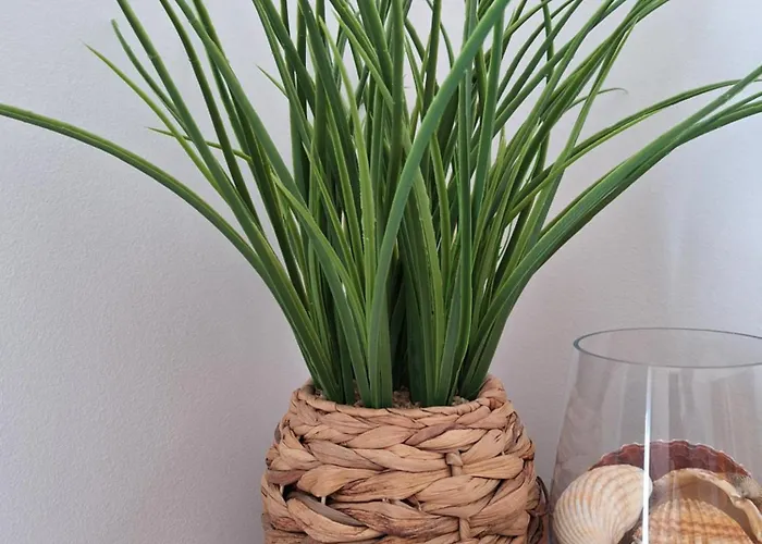 Lejlighed Ondasol- Acolhedor T2 Na Velha *