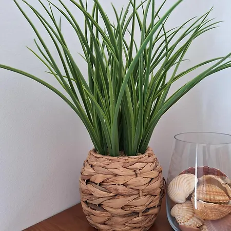 Apartament Ondasol- Acolhedor T2 Na Velha *